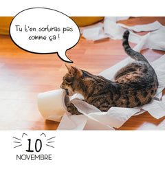 Mini calendrier 365 jours LOL Cats