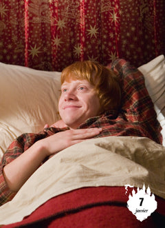 Calendrier Harry Potter en 365 jours