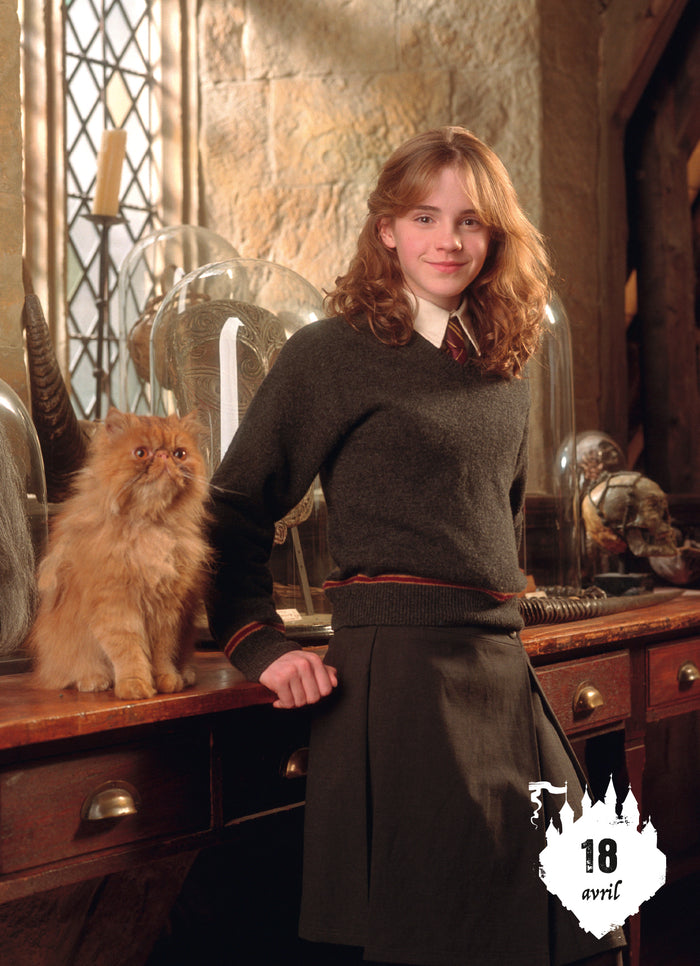 Calendrier Harry Potter en 365 jours