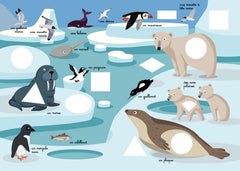 Les animaux du froid