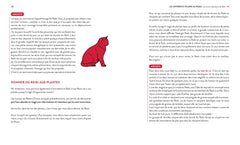 Le reiki au quotidien