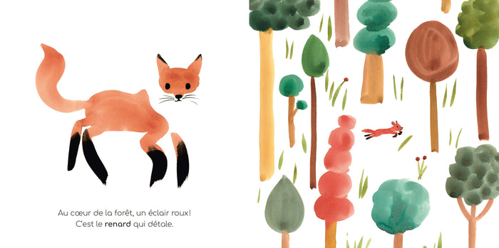 Mon imagier à raconter - Les Animaux sauvages