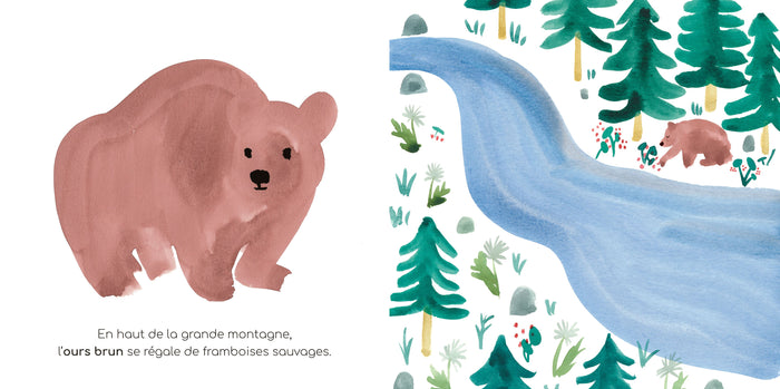 Mon imagier à raconter - Les Animaux sauvages