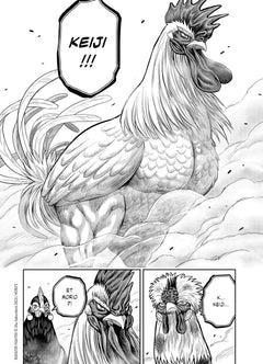 Rooster Fighter - Coq de Baston T05