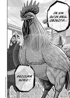 Rooster Fighter - Coq de Baston T05