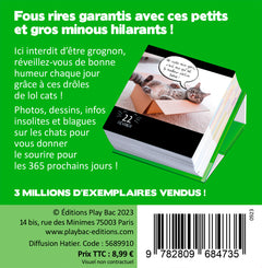 Mini calendrier 365 jours LOL Cats