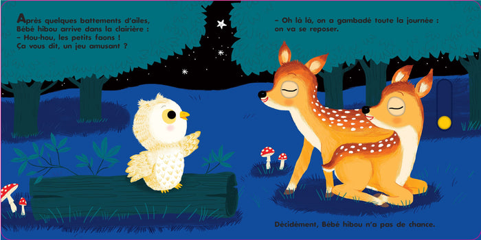 Au dodo ! Bébé hibou n'a pas sommeil du tout