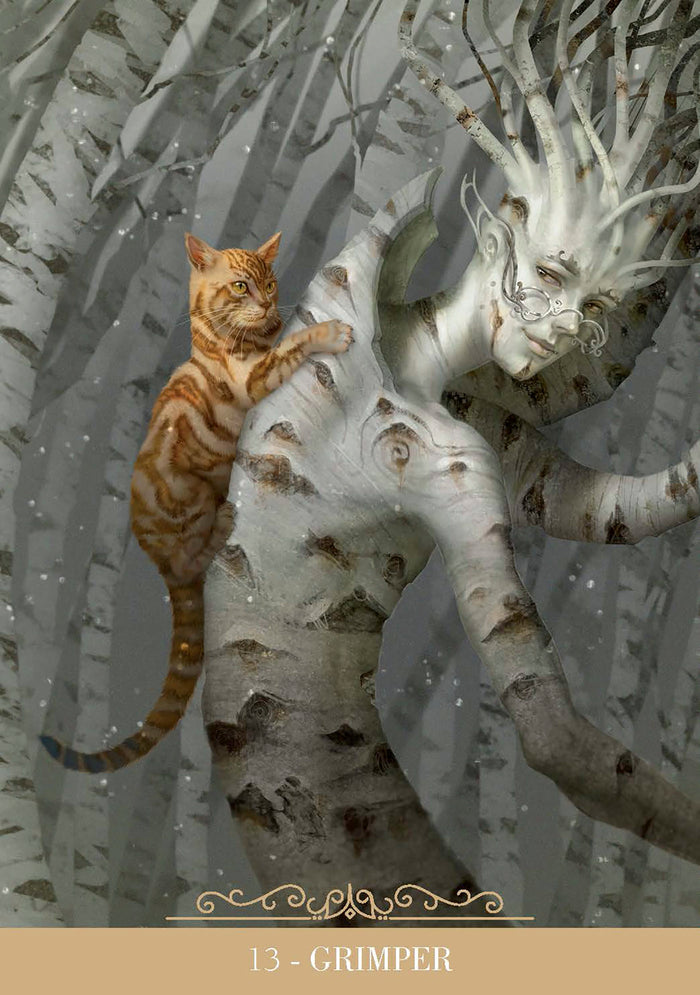 Coffret Oracle des chats fantasy