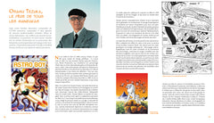 L'art du manga