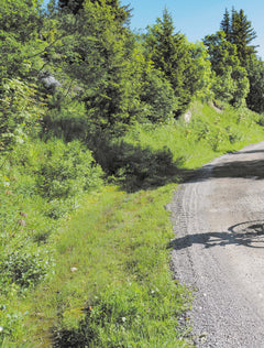 Les plus belles destinations en gravel