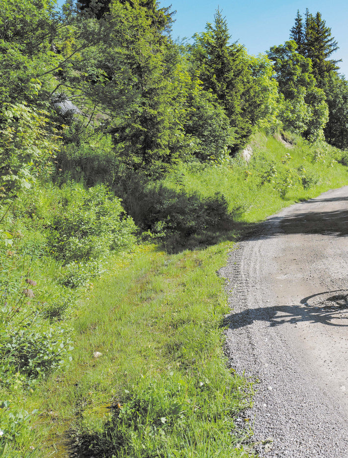 Les plus belles destinations en gravel