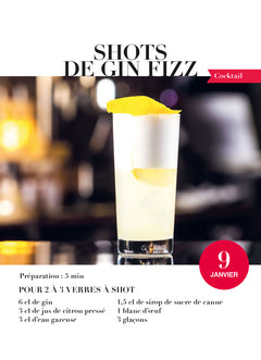 Calendrier Cocktails et apéros en 365 jours - L'ANNÉE À BLOC