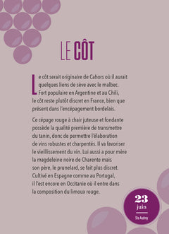 Calendrier amateur de vin en 365 jours