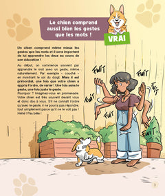 Le vrai/faux des chiens