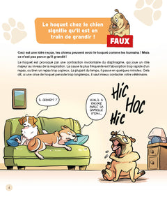 Le vrai/faux des chiens
