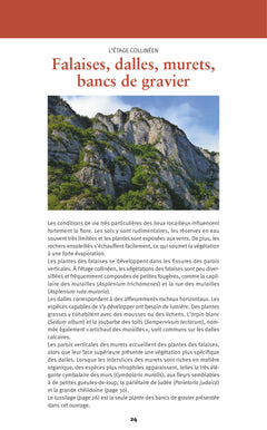 Découvrir la flore des Pyrénées