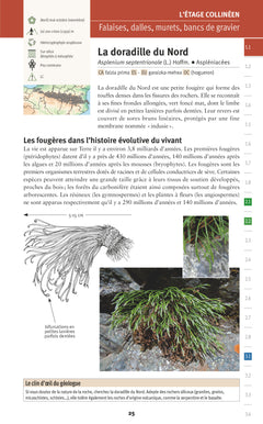 Découvrir la flore des Pyrénées