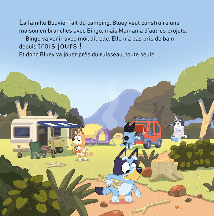 Bluey - Camping