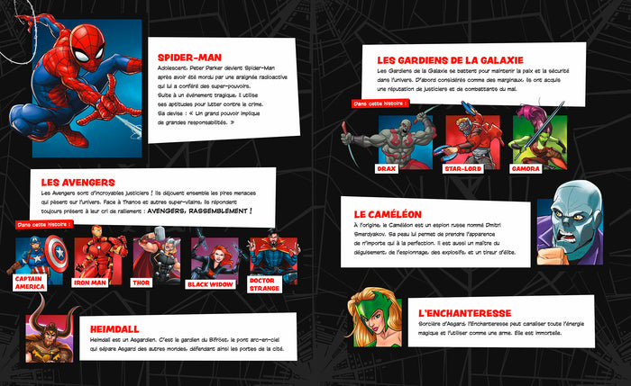 Les Avengers à la rescousse