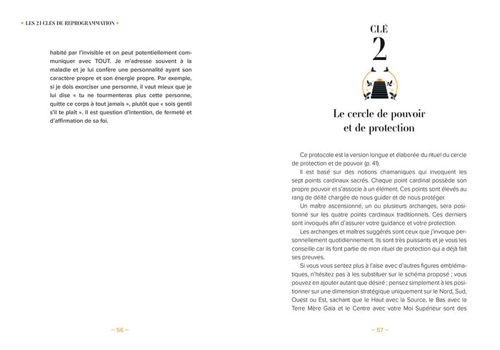 Les 21 clés de reprogrammation