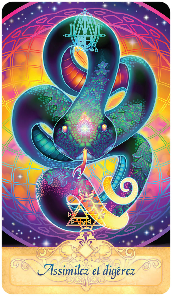 L'oracle de la quête spirituelle