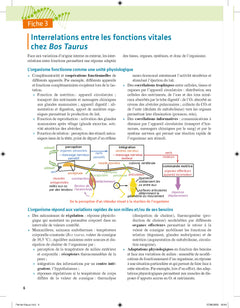 Biologie et géologie tout en fiches