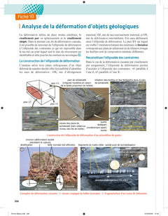 Biologie et géologie tout en fiches