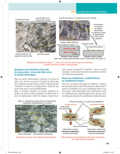 Biologie et géologie tout en fiches