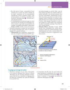 Biologie et géologie tout en fiches
