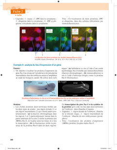 Biologie et géologie tout en fiches