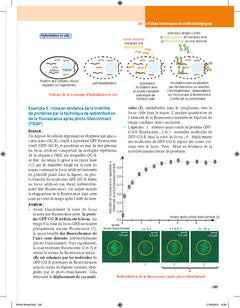 Biologie et géologie tout en fiches