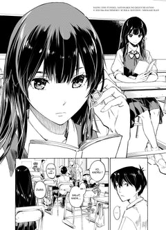 Tunnel to Summer T01