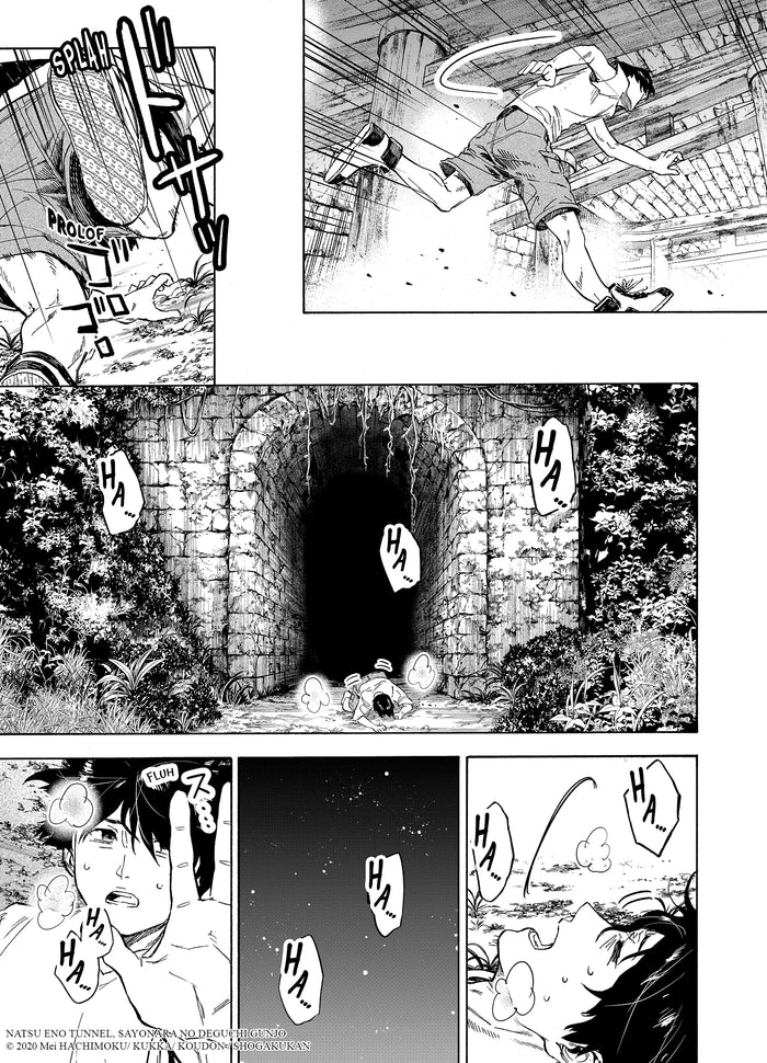 Tunnel to Summer T01