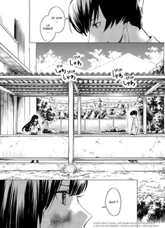 Tunnel to Summer T01