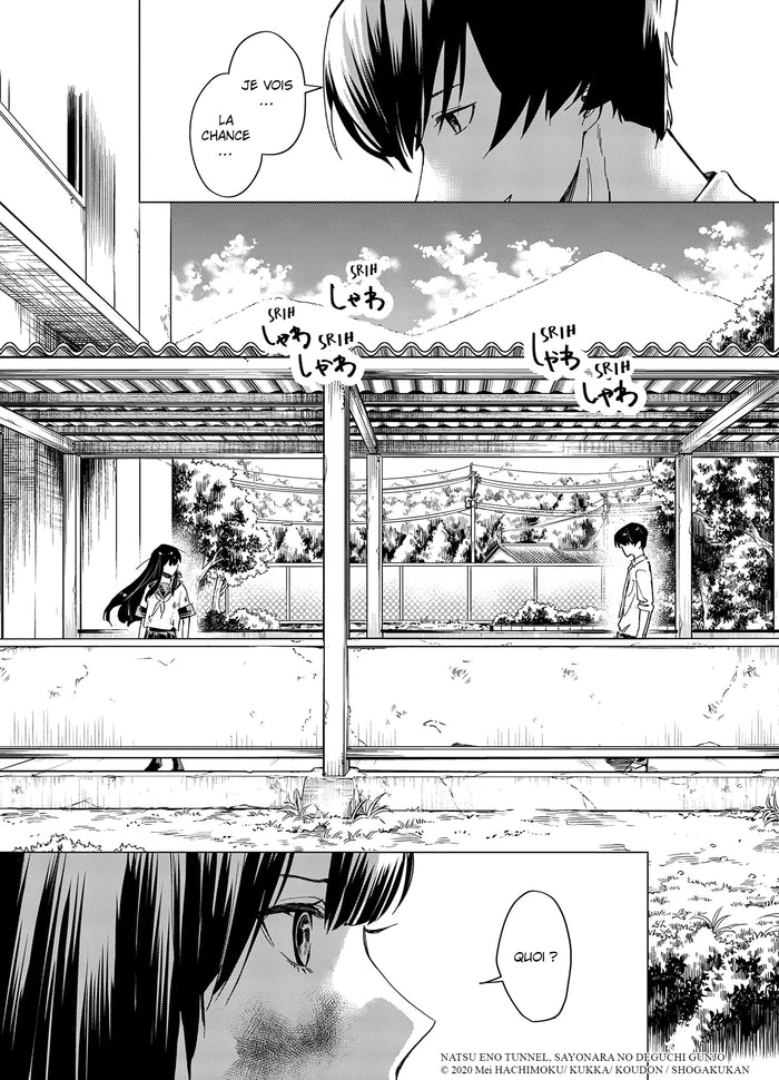 Tunnel to Summer T01