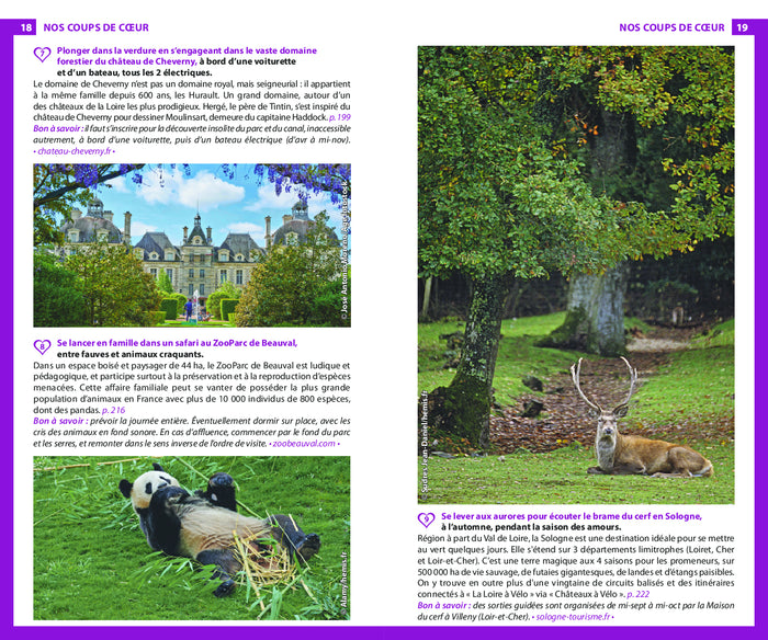 Guide du Routard Châteaux de la Loire 2025/26