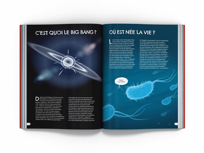 Les Pourquoi de l'histoire - Tome 1