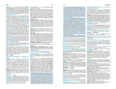 Le Dictionnaire Larousse du collège