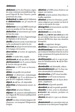 Dictionnaire Larousse Mini plus