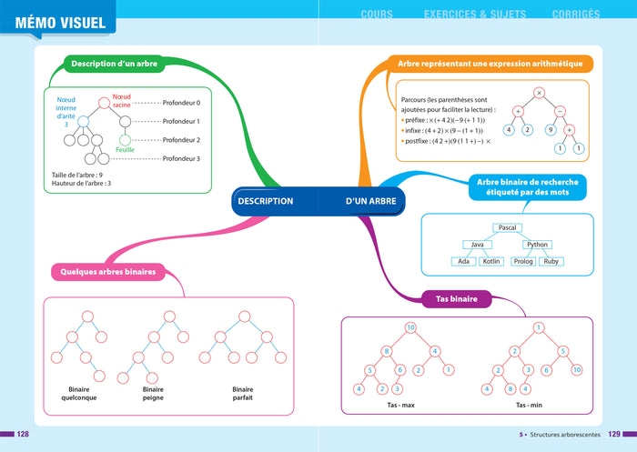 Prépabac NSI Tle générale (spécialité) - Bac 2025