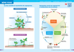 Prépabac - SVT Tle générale (spécialité) - Bac 2025