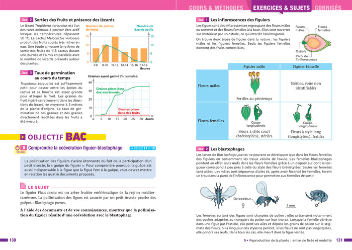 Prépabac - SVT Tle générale (spécialité) - Bac 2025