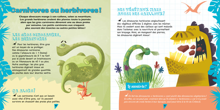 Je découvre les dinos - coffret avec lampe et kit excavation