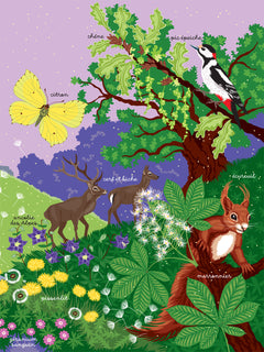 Les mains dans la nature - La montagne