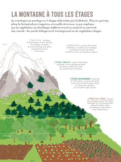 Les mains dans la nature - La montagne