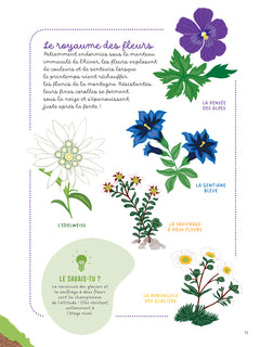 Les mains dans la nature - La montagne