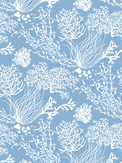 Les mains dans la nature - La mer