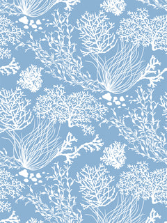 Les mains dans la nature - La mer