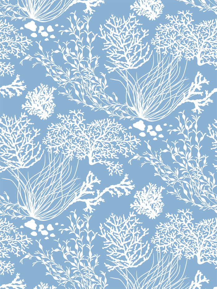 Les mains dans la nature - La mer