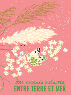 Les mains dans la nature - La mer